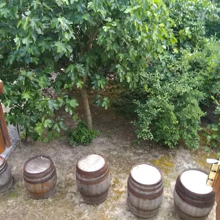 Велеви Къщи